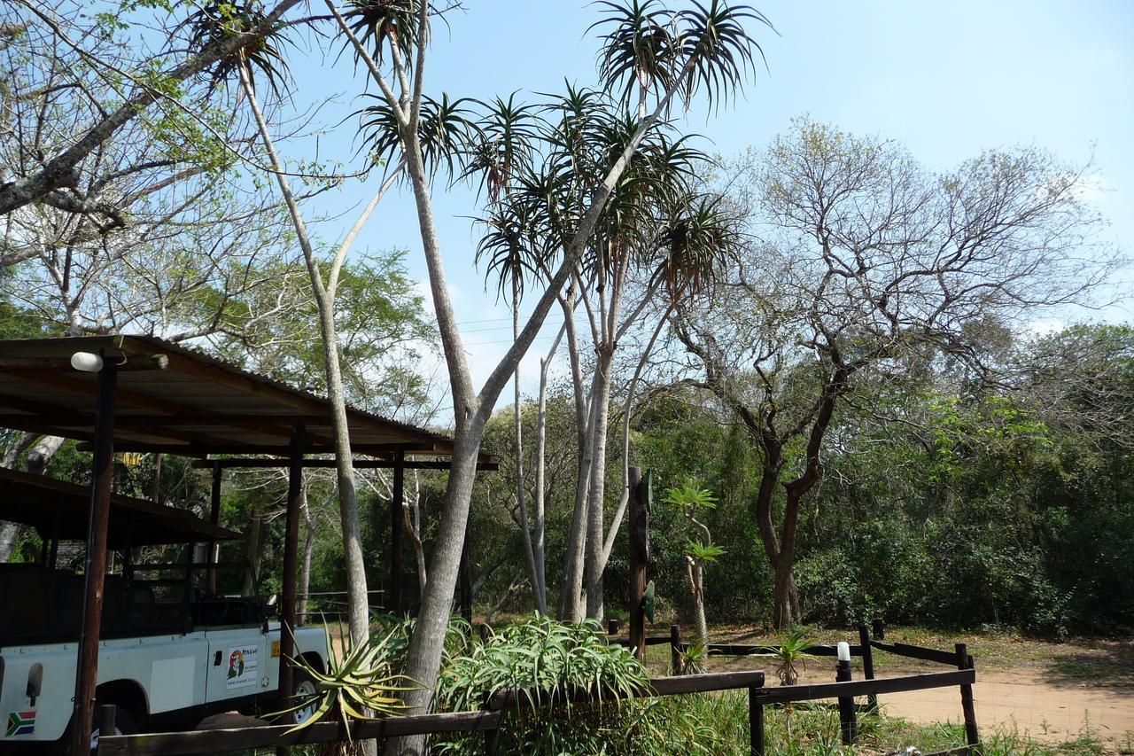 הוילה שלושלואי Isinkwe Bush Camp מראה חיצוני תמונה