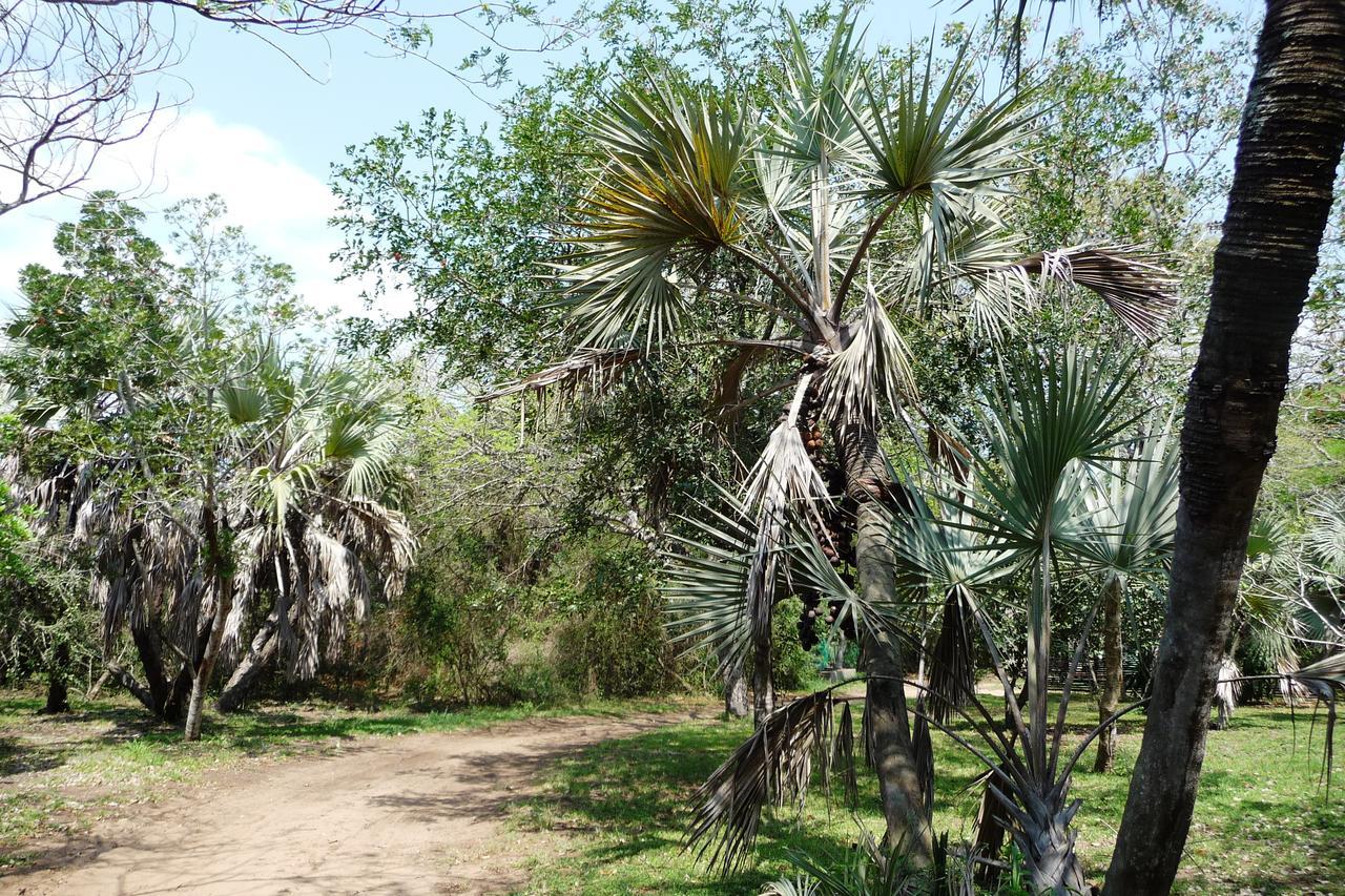 הוילה שלושלואי Isinkwe Bush Camp מראה חיצוני תמונה