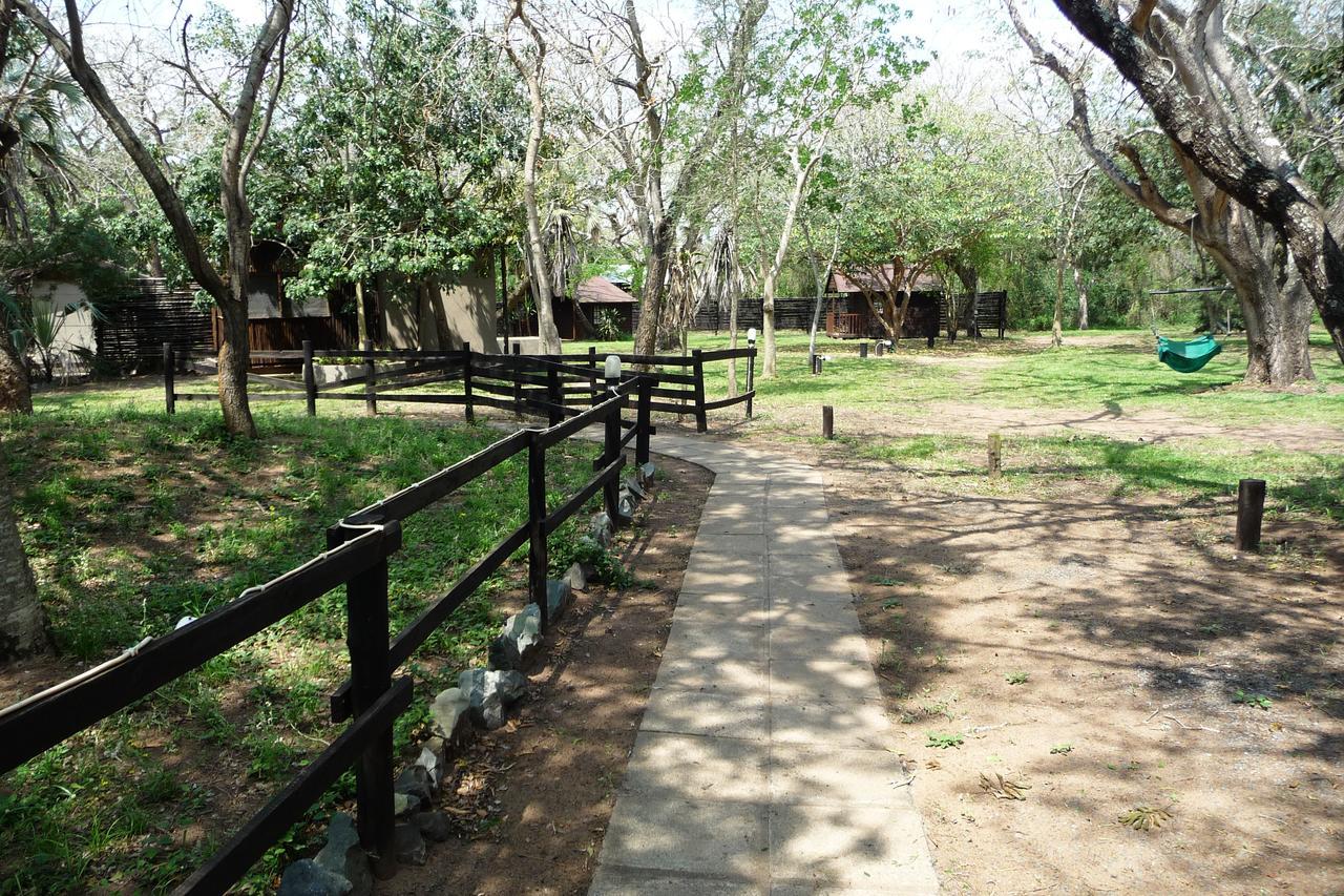 הוילה שלושלואי Isinkwe Bush Camp מראה חיצוני תמונה