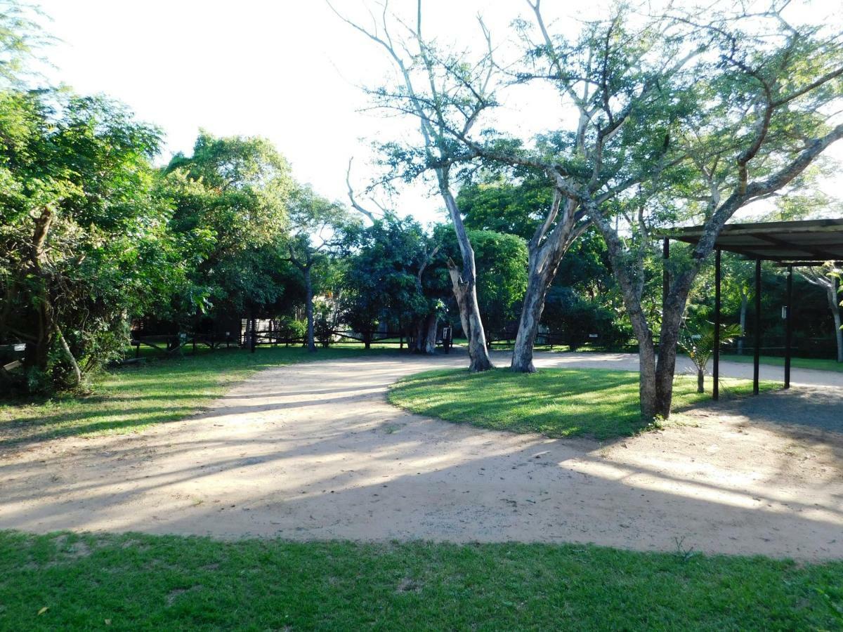 הוילה שלושלואי Isinkwe Bush Camp מראה חיצוני תמונה